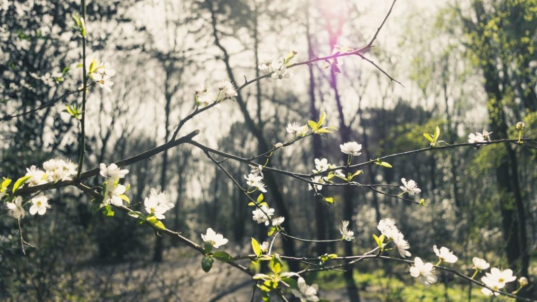Невеликий дощ: погода у Дніпрі 15 березня