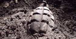 В центре Днепра местный житель нашел гранату устаревшего образца - рис. 5
