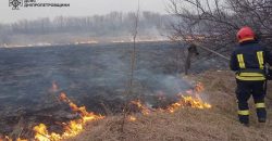 За день устроили 55 пожаров: на Днепропетровщине штрафуют поджигателей сухой травы - рис. 7