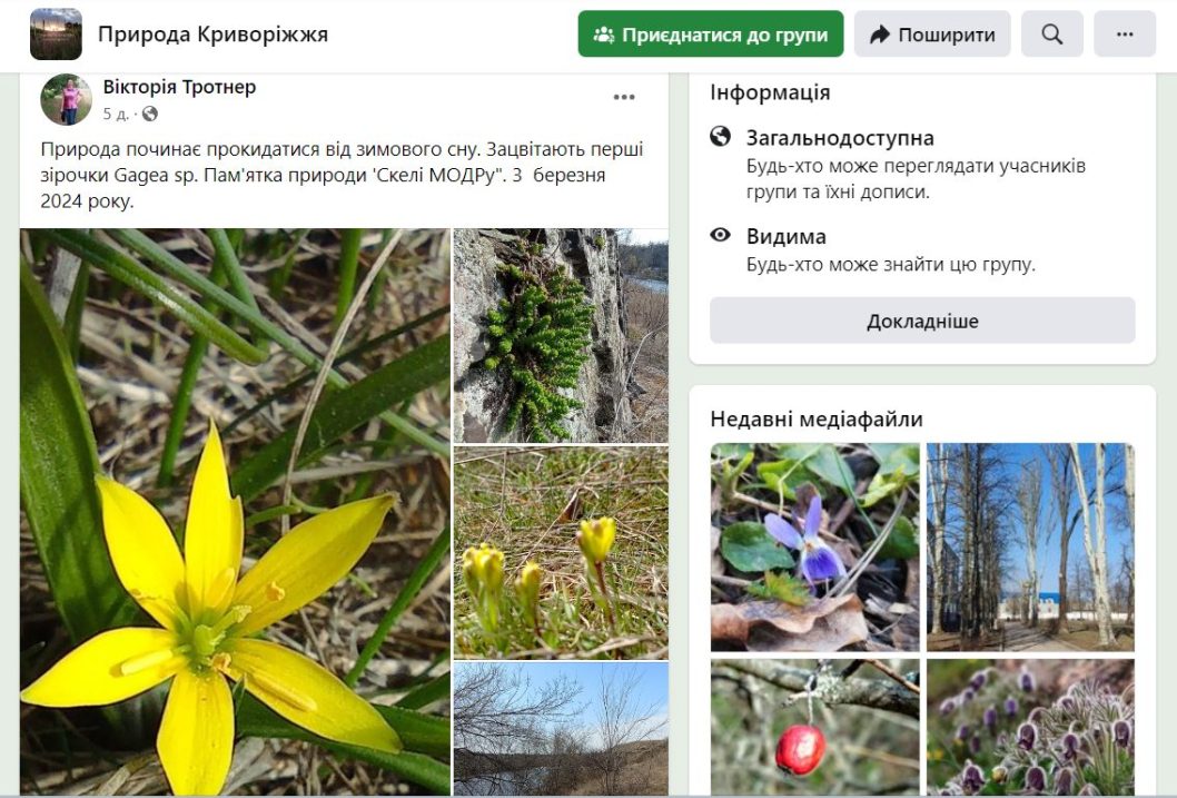 На Дніпропетровщині з'являються перші квіти