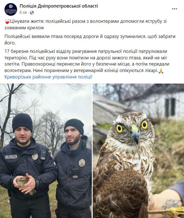 На Дніпропетровщині поліцейські врятували хижого птаха