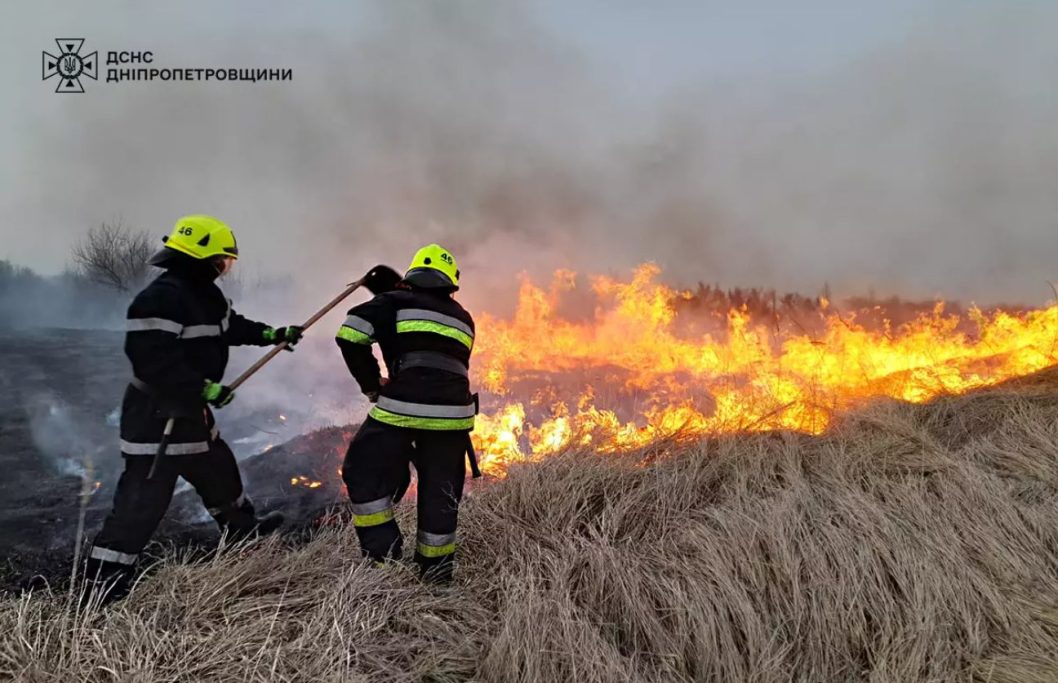 За добу на Дніпропетровщині згоріло понад 60 га екосистем
