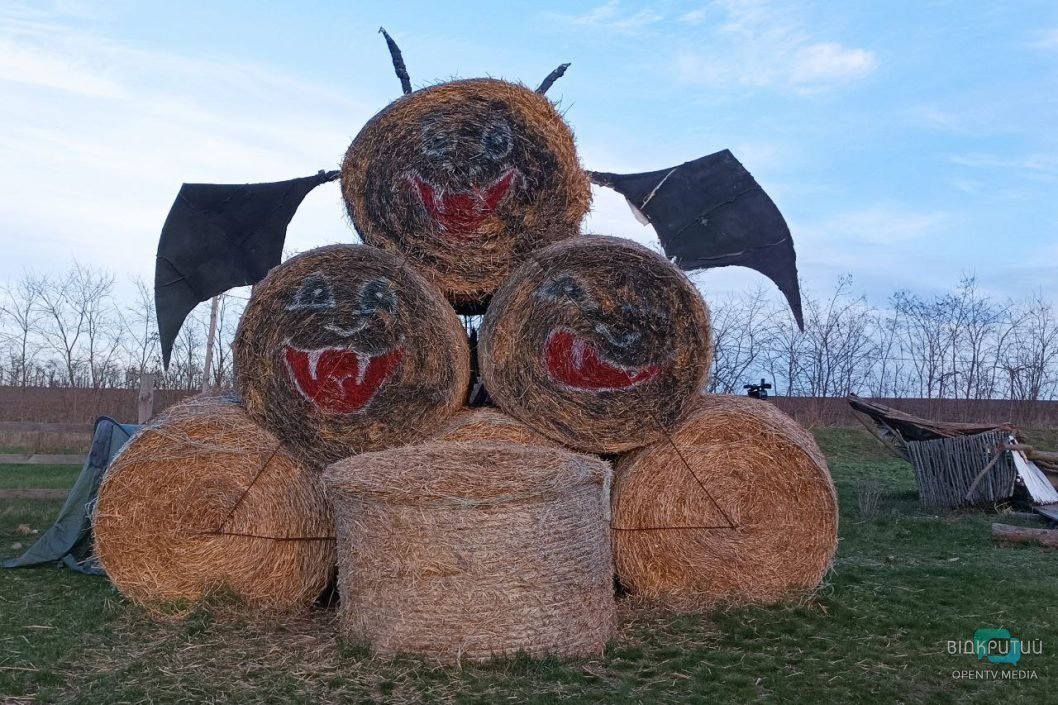 У передмісті Дніпра на волю випустили тисячу врятованих кажанів - рис. 5