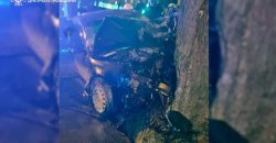 На Дніпропетровщині Skoda на швидкості влетіла у дерево та загорілася: водія та пасажира шпиталізували - рис. 10