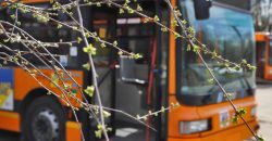 Для різних галузей міського господарства: до Дніпра прибула партія автобусів з Мілана - рис. 2