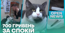 Чипування домашніх тварин в Україні: що потрібно знати - рис. 2