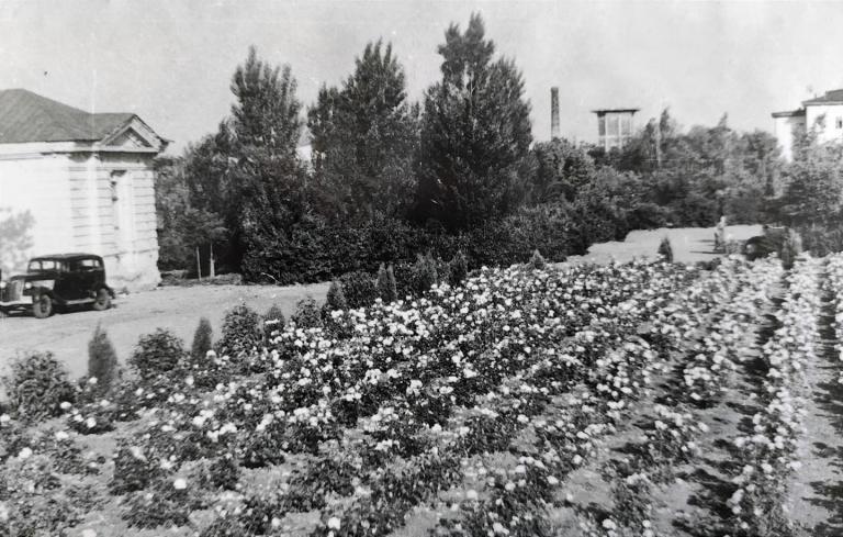 В центре Днепра на Соборной площади в 1930 годах высаживали огород - рис. 2