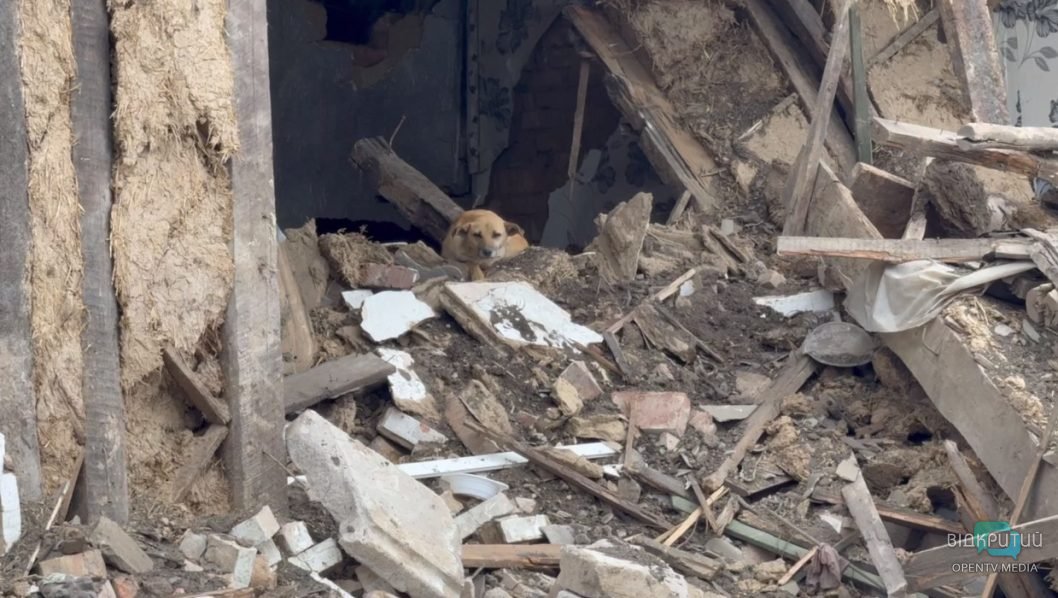 5 загиблих і понад 50 зруйнованих будинків: наслідки ракетного удару окупантів по Синельниковому