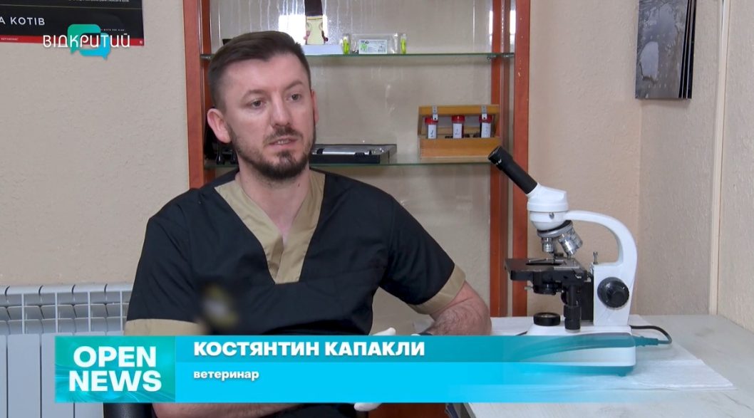 Чипування домашніх тварин в Україні: що потрібно знати - рис. 2