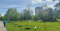 В Днепре в парке Глобы высадили Аллею живой памяти защитников Украины - рис. 18