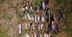 Правоохранители Днепра задержали браконьера, который вылавливал рыбу - рис. 9