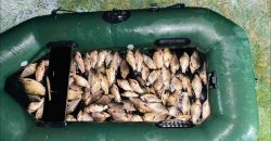 Наловили риби на 150 тис. грн: на Дніпропетровщині впіймали рибалок-браконьєрів