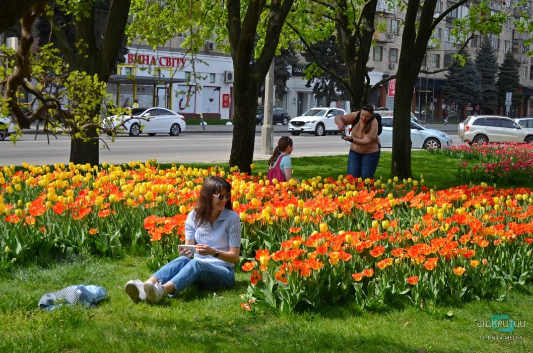 У Дніпрі на Січеславській Набережній розквітли сотні тюльпанів