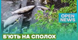 Жители Днепра жалуются на загрязнение озера Куриное - рис. 1