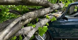 Деревопад и поврежденные автомобили: в Днепре и области ликвидируют последствия непогоды - рис. 10
