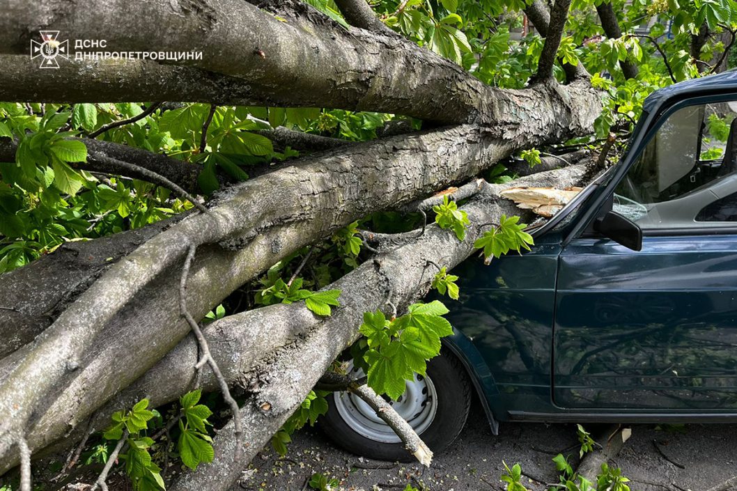 Деревопад і пошкоджені авто: у Дніпрі та області ліквідовують наслідки негоди