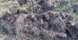 На Днепропетровщине мужчина в поле обнаружил более полусотни устаревших боеприпасов - рис. 17