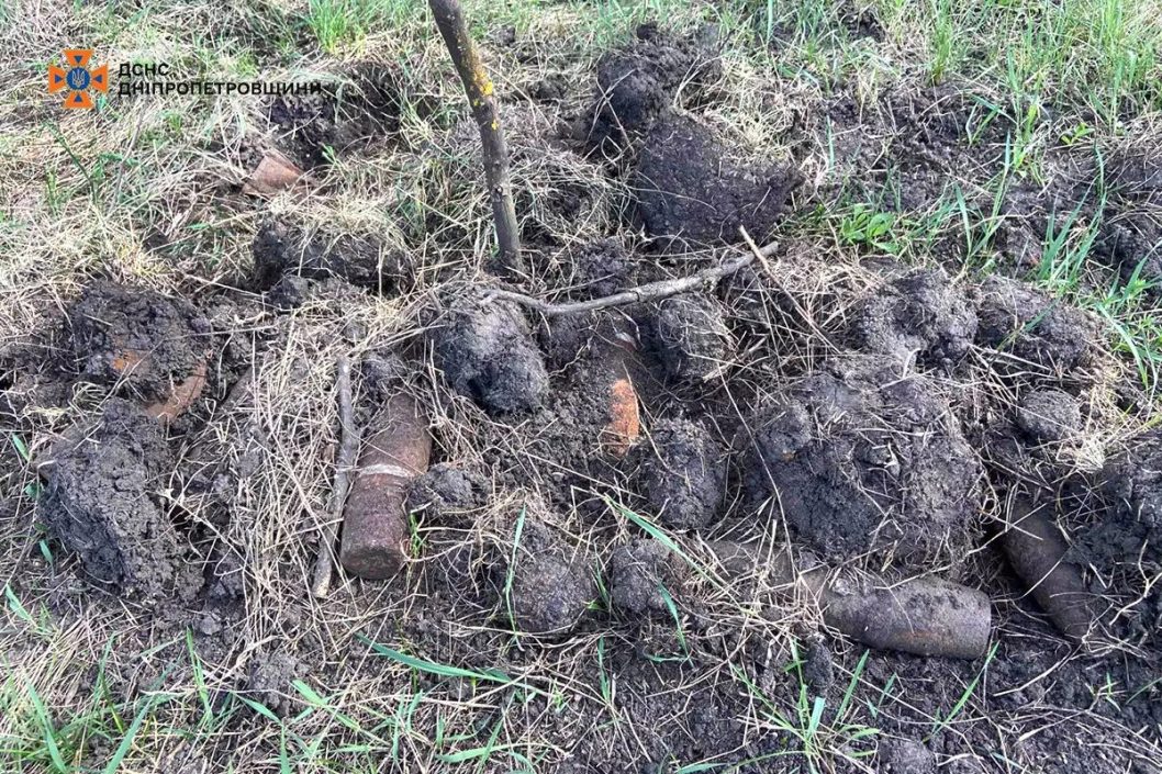 На Днепропетровщине мужчина в поле обнаружил более полусотни устаревших боеприпасов - рис. 1