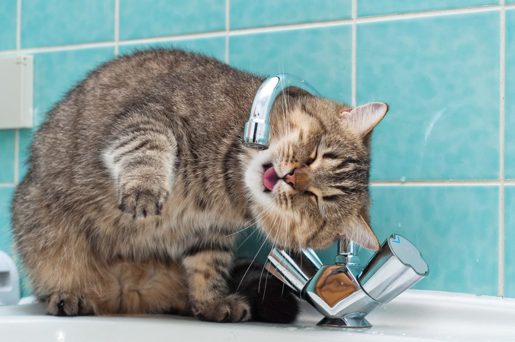 У Дніпрі відсутнє водопостачання: адреси