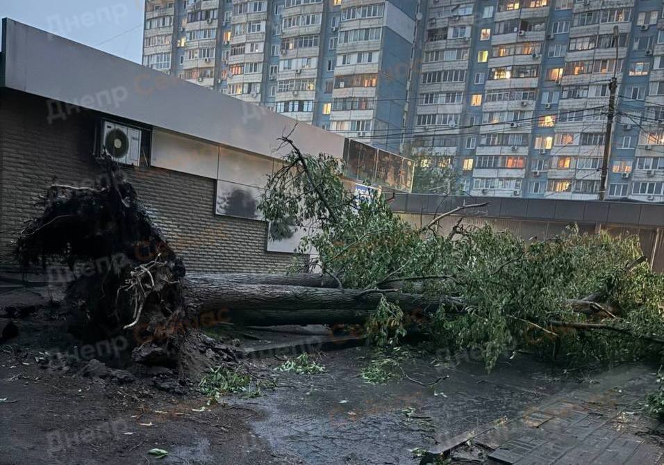 Падають дерева та затоплює вулиці: Дніпро накрила потужна злива з грозою