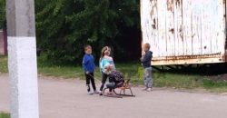 Соскучились по зиме: в Днепре заметили детей на санках