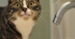 У Дніпрі припинено водопостачання : адреси