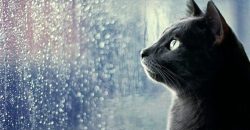 Ожидается небольшой дождь: какой будет погода в Днепре 18 мая - рис. 1