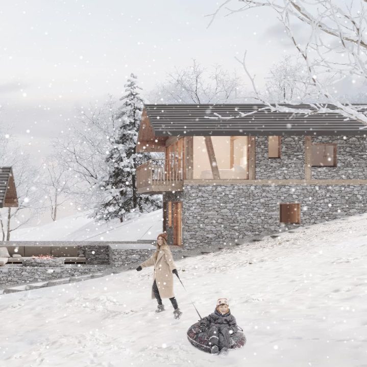 Архітектори з Дніпра розробили проєкт будинку для Швейцарії