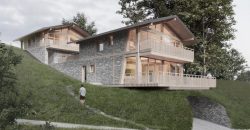 Архітектори з Дніпра розробили проєкт будинку у Швейцарії - рис. 4
