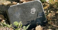 В Днепре появилось стихийное кладбище домашних животных - рис. 10