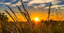 До 26 градусів тепла: якою буде погода у Дніпрі 25 травня