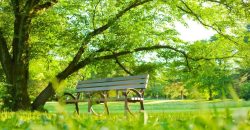 Без опадів: якою буде погода у Дніпрі 24 травня