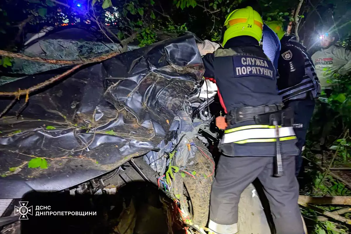 В пригороде Днепра Hyundai вылетел в кювет: водителя зажало внутри автомобиля - рис. 1
