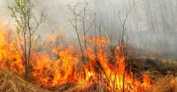 У Дніпрі та області оголосили надзвичайну пожежну небезпеку - рис. 1