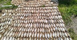 Наловили рыбы почти на 100 тыс грн: на Днепропетровщине задержали рыбаков-браконьеров - рис. 15