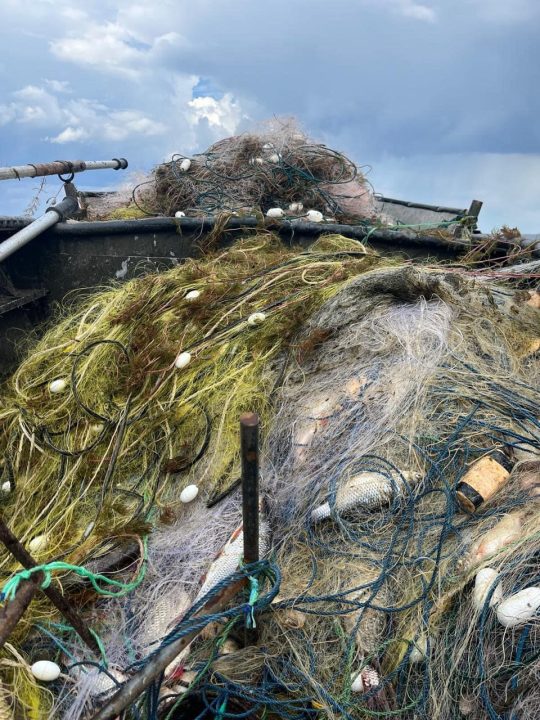 Наловили рыбы почти на 100 тыс грн: на Днепропетровщине задержали рыбаков-браконьеров - рис. 2