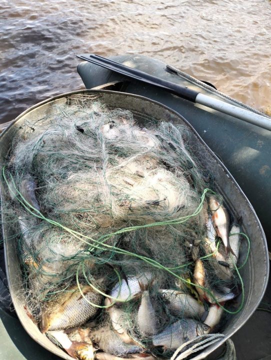 Наловили рыбы почти на 100 тыс грн: на Днепропетровщине задержали рыбаков-браконьеров - рис. 1