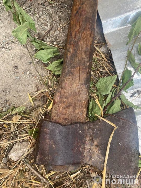 На Дніпропетровщині чоловік вдерся до жінки додому та побив її сокирою - рис. 1