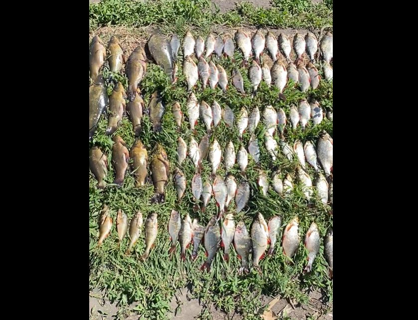Наловив риби майже на 300 тис. грн: на Дніпропетровщині затримали браконьєра