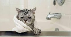 У Дніпрі на низці вулиць відсутнє водопостачання: деталі