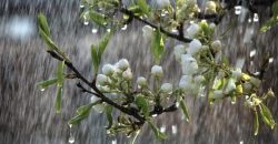 Очікується невеликий дощ: якою буде погода у Дніпрі 5 травня