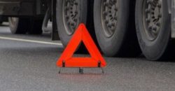 Смертельна аварія на Дніпропетровщині: вантажівка збила пішохода  - рис. 9