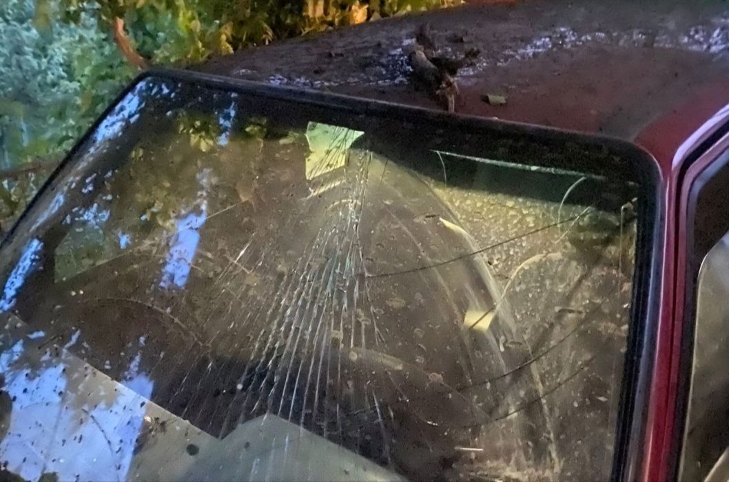 Постраждав 42-річний чоловік: ворог обстріляв Нікопольщину