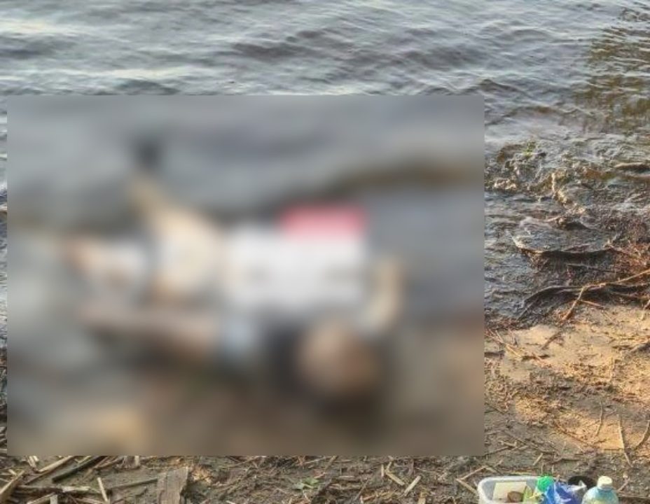 Трагическая рыбалка в Днепре: в реке у Кайдакского моста обнаружили тело мужчины - рис. 1