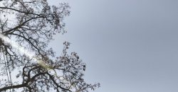 Прогноз погоди у Дніпрі на 20 травня - рис. 13