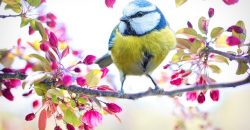 Ожидается дождь: прогноз погоды в Днепре на 13 мая - рис. 14