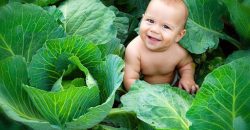 Бум народжуваності: у Дніпрі за добу на світ з'явилося 25 немовлят