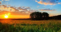 До 28 градусів тепла: якою буде погода у Дніпрі 22 травня