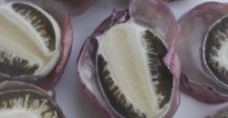 У Дніпрі знайшли гриб з унікальними властивостями - рис. 1