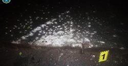 На Дніпропетровщині затримали чоловіка, який підірвав гранату у громадському місці